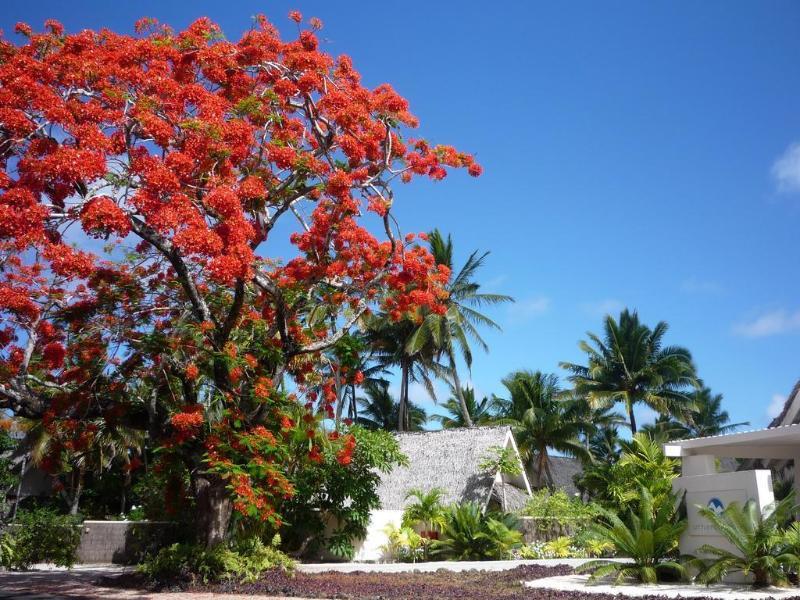 Little Polynesian Resort Đảo Đảo Rarotonga Ngoại thất bức ảnh